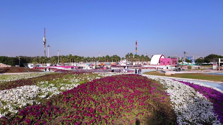 A colorful rose garden at the Flowers and Gardens Festival in Yanbu Industrial City, aerial daytime shot.
