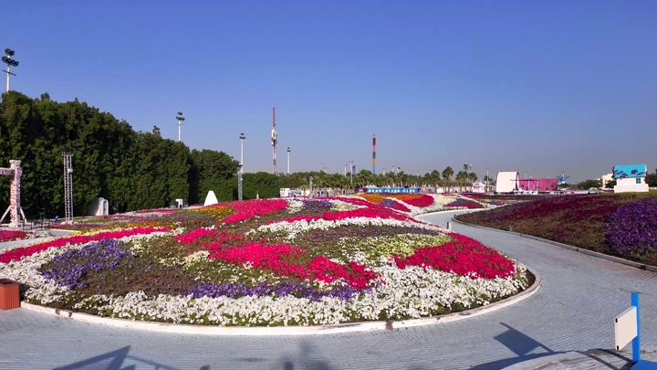 A colorful flower garden at the Yanbu Rose Festival, aerial daytime shot.