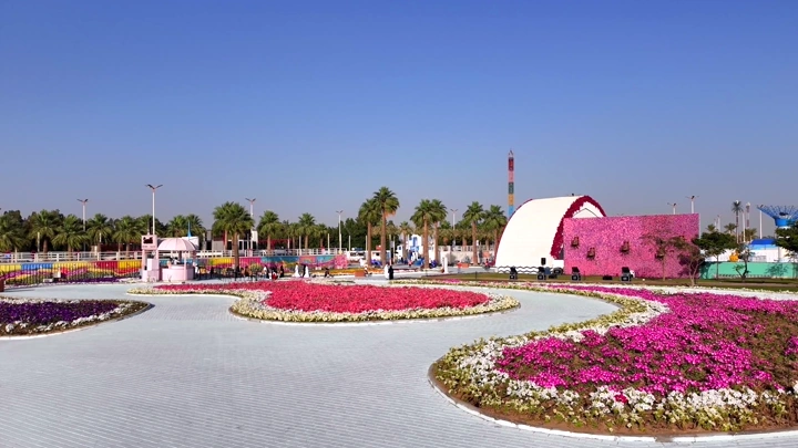 Colorful flowers at the Flower Festival in Yanbu Industrial City, an aerial daytime shot.