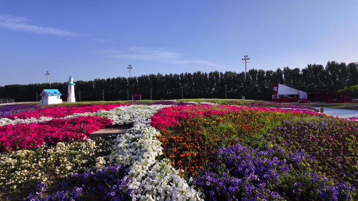 A colorful flower garden at the Flower Festival in Yanbu Industrial City, wide aerial shot.