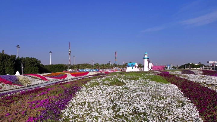 Colorful flowers at the Yanbu Industrial Festival, an aerial daytime shot.