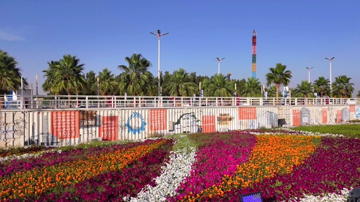 زهور ملونة في مهرجان الورود بينبع الصناعية، لقطة نهارية جوية.