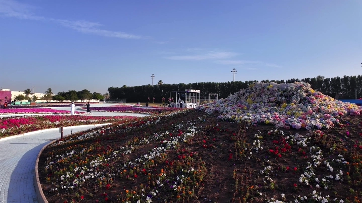 مهرجان الزهور في ينبع الصناعية، لقطة واسعة جوية.