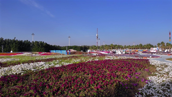 Colorful flowers at the Yanbu Industrial Festival of Flowers and Gardens, a wide aerial shot.
