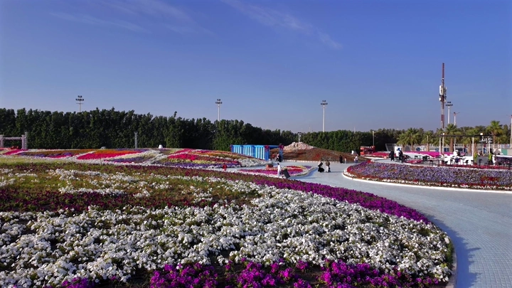 مهرجان الزهور والحدائق في ينبع الصناعية، لقطة نهارية جوية.