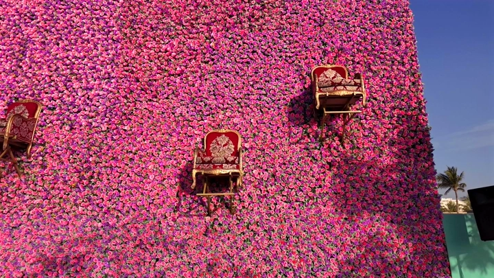 Chairs against a wall covered with pink flowers at the Flower Festival in Yanbu Industrial City, daytime shot.