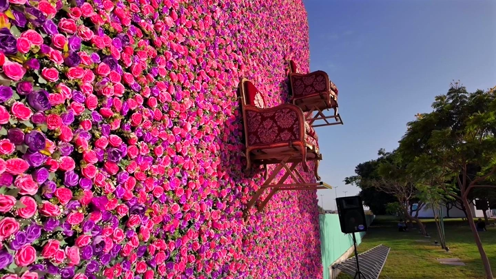 A wall covered with flowers with hanging chairs at the Yanbu Flower Festival, daytime shot.