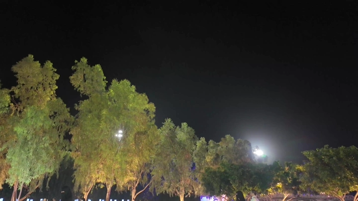 Flowers illuminated at the Yanbu Flower and Garden Festival, night photography.