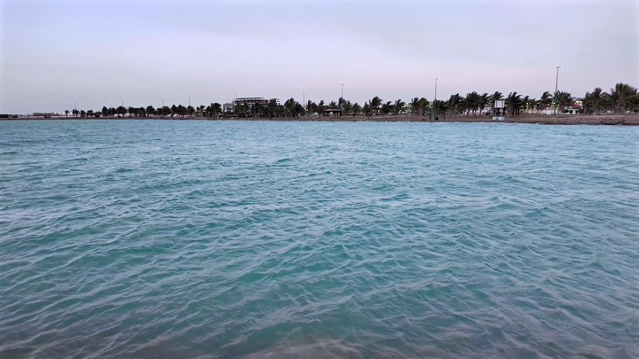 شاطئ هادئ مع مياه زرقاء وأشجار نخيل في ينبع، لقطة نهارية.