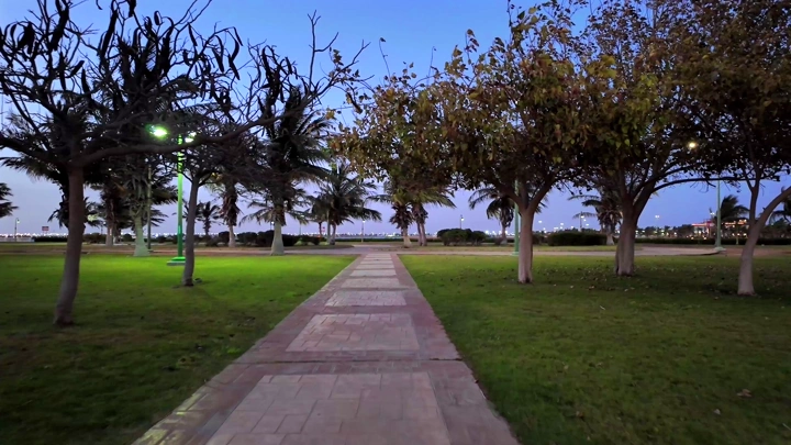 ممشى في حديقة عند الغروب تحيطه النخيل، لقطة واسعة.