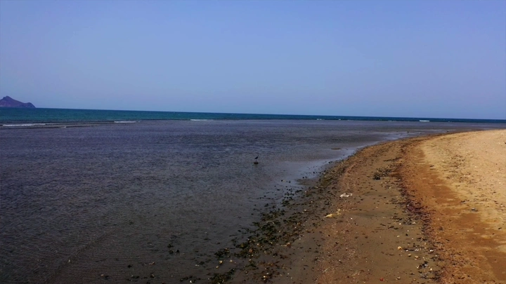 شاطئ القحمة الأسود في جازان، لقطة جوية.