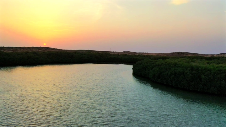 Sunset over mangrove trees on Farasan Island, aerial shot.