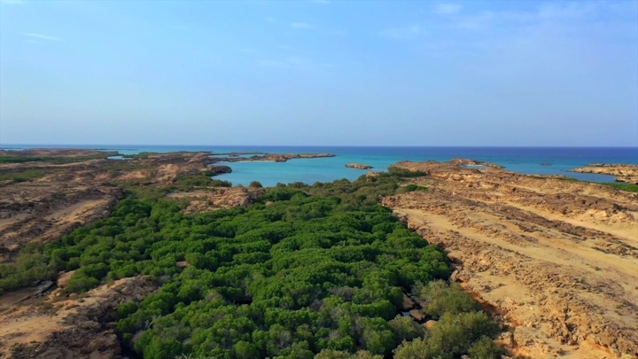 Beach on Farasan Island with mangrove forests, aerial shot.