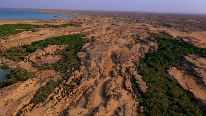 Farasan Island with rocky terrain and green vegetation, aerial view.