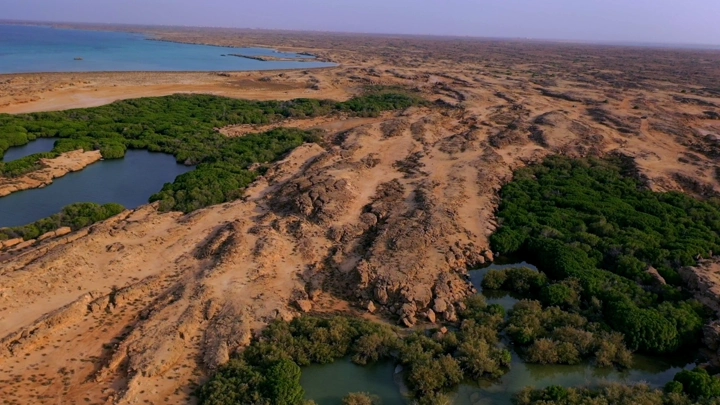 The coast of Farasan Island with mangrove forests and the sea, aerial shot.