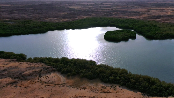Lake surrounded by mangrove trees on Farasan Island, aerial shot.