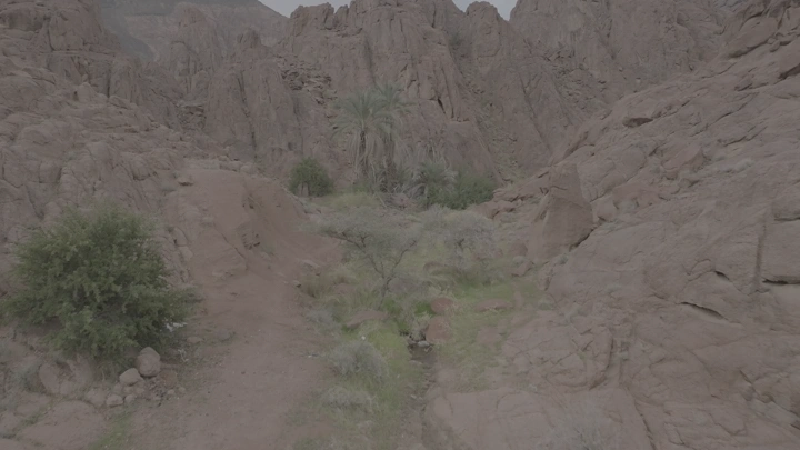 جبال صخرية في حائل مع نخيل في المنتصف، لقطة جوية.