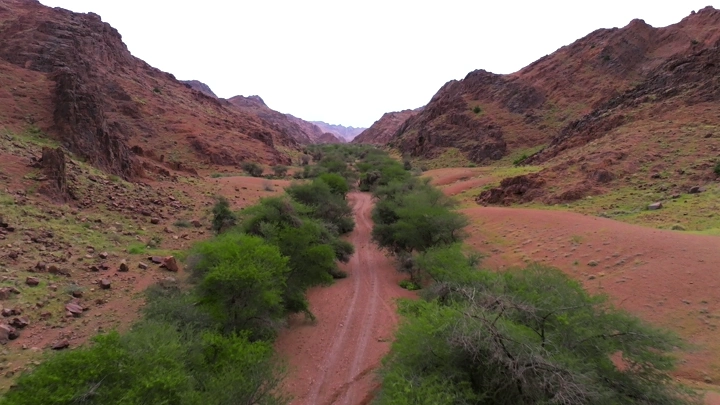 وادي محاط بالجبال والأشجار في حائل، لقطة جوية.