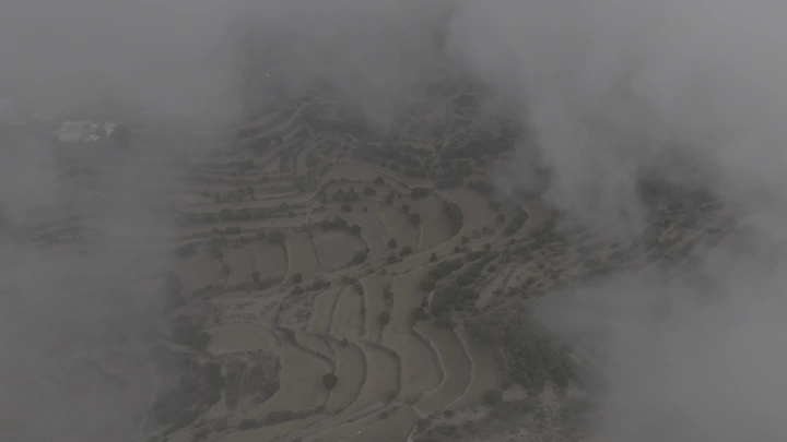 مدرجات زراعية في عسير مغطاة بالضباب، لقطة جوية.