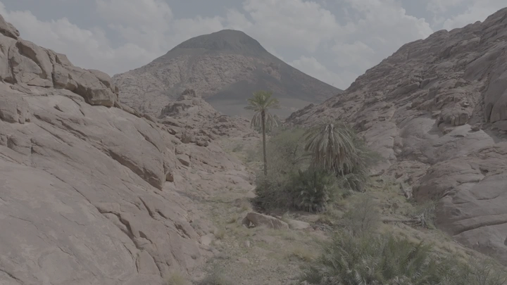 منظر جبلي في حائل بعد الأمطار، لقطة قريبة من الأرض.