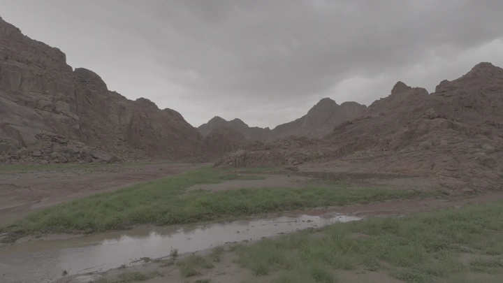 وادي أخضر بين الجبال في حائل بعد الأمطار، لقطة جوية.