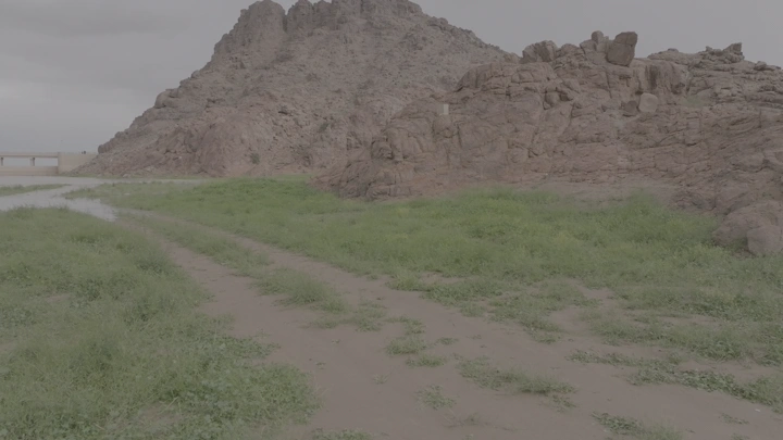 تلال صخرية مع نباتات خضراء بعد المطر في حائل، لقطة أرضية.