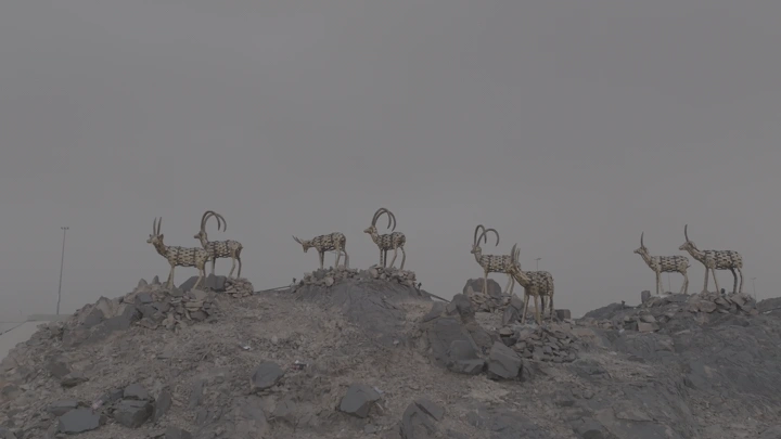 تماثيل غزلان على تلة صخرية في حائل، لقطة نهارية.