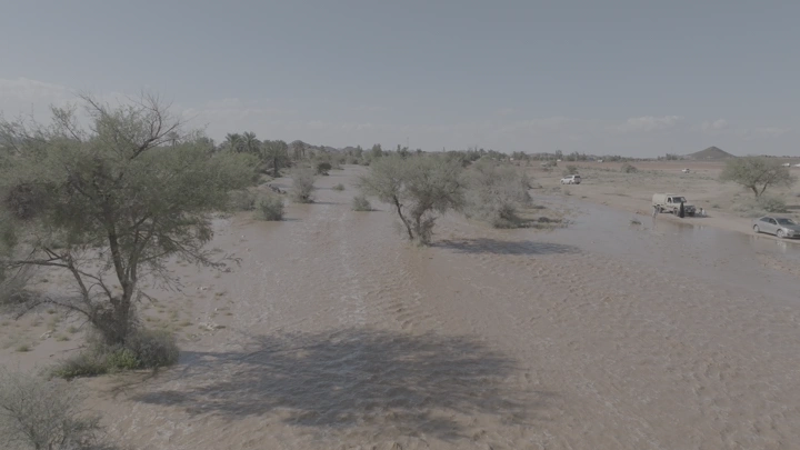 سيول وامطار في الصحراء بين النخل، لقطة جوية.