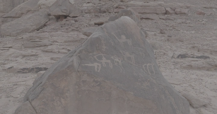 نقوش صخرية في جبة حائل، تصوير عن قرب.