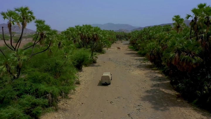 وادي الفطيحة في جازان مع سيارة في المنتصف، لقطة جوية.