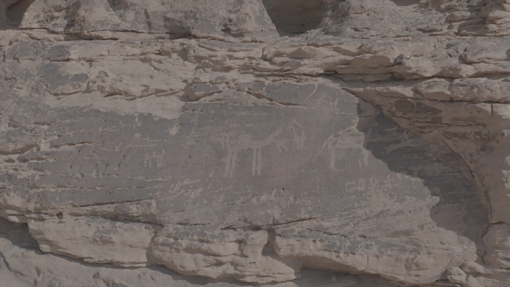 نقوش صخرية ثمودية في جبل أم سنمان جبة حائل، لقطة قريبة.