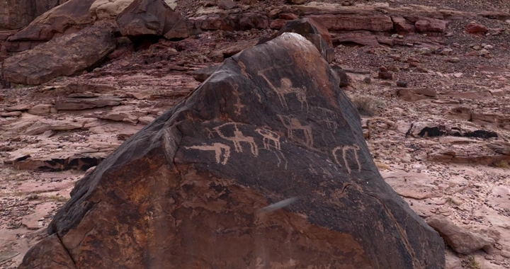 نقوش ثمودية على صخرة في جبل أم سمنان جبة حائل، لقطة قريبة.