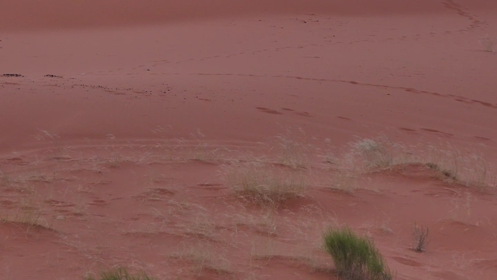 فارسة مع حصان في صحراء النفود، لقطة جوية.