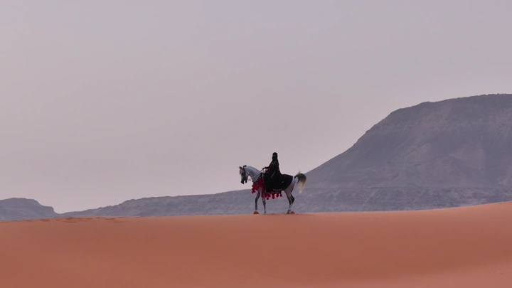فارسة على حصان في صحراء النفود، لقطة بعيدة.