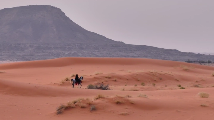 فارسة تركب حصانًا في صحراء النفود، لقطة جوية.