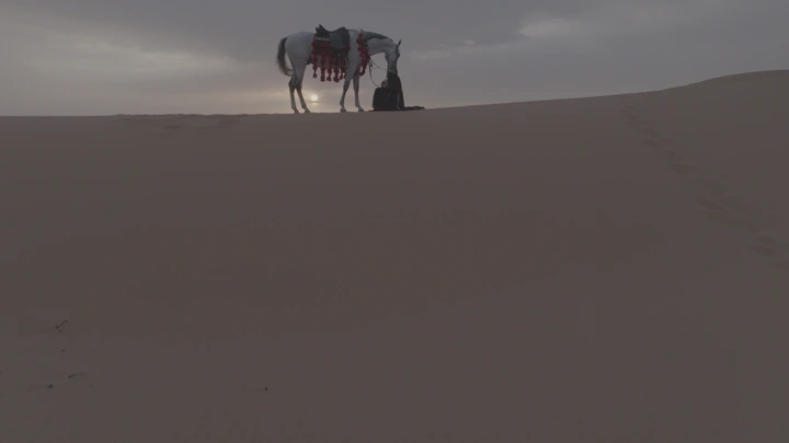 فارسة مع حصان في صحراء النفود، لقطة من بعيد.