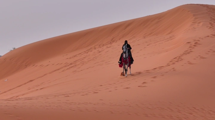 فارسه على حصان في صحراء النفود، لقطة بعيدة.