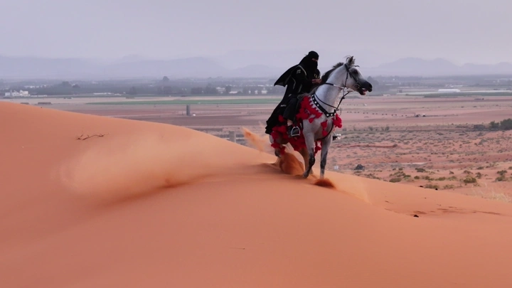 فارسة على حصان في صحراء النفود، لقطة جوية.