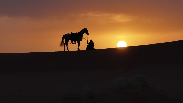 حصان وفارسه عند شروق الشمس في الصحراء، صورة ظلية.