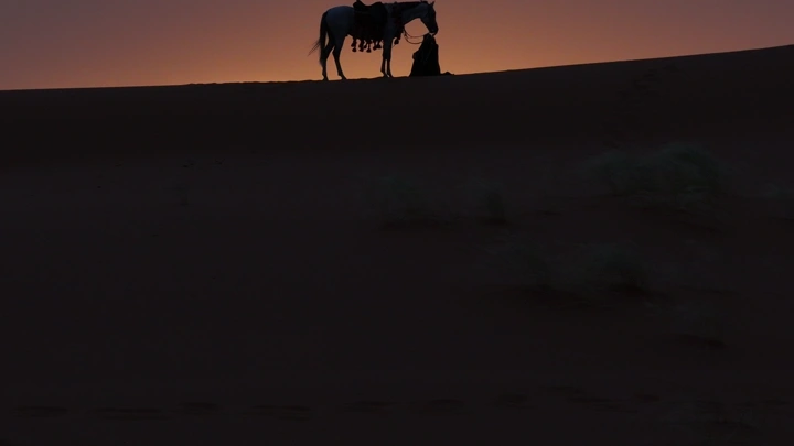حصان يقف على تل عند غروب الشمس مع فارسه، لقطة ظلية.