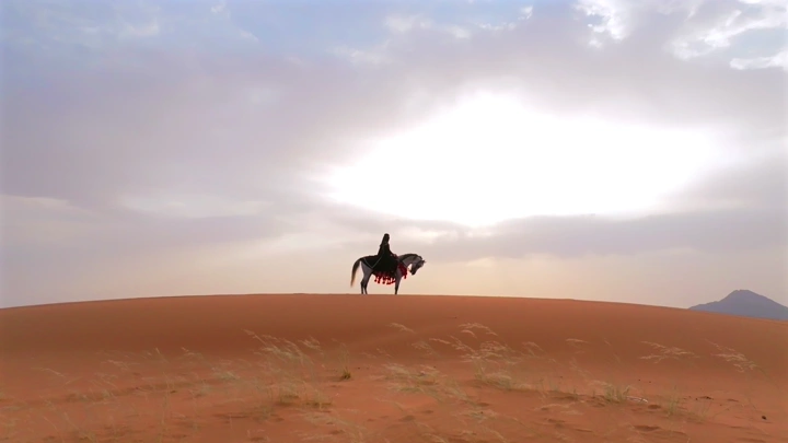 فارسه على حصان في صحراء النفود عند الغروب، لقطة واسعة.