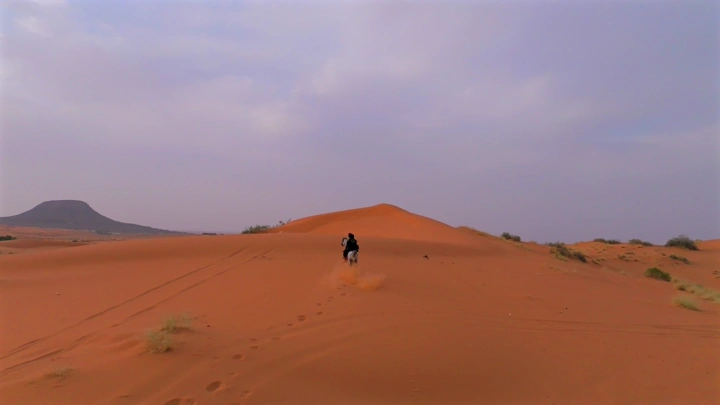 فارسة على حصان في صحراء النفود، لقطة جوية.