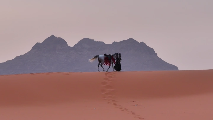 فارسة مع حصانها في صحراء النفود، لقطة جوية.