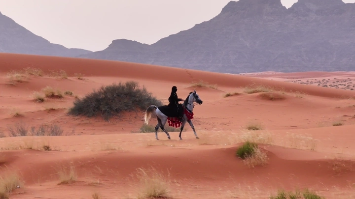 فارسة تركب حصانًا في صحراء النفود، لقطة جوية.