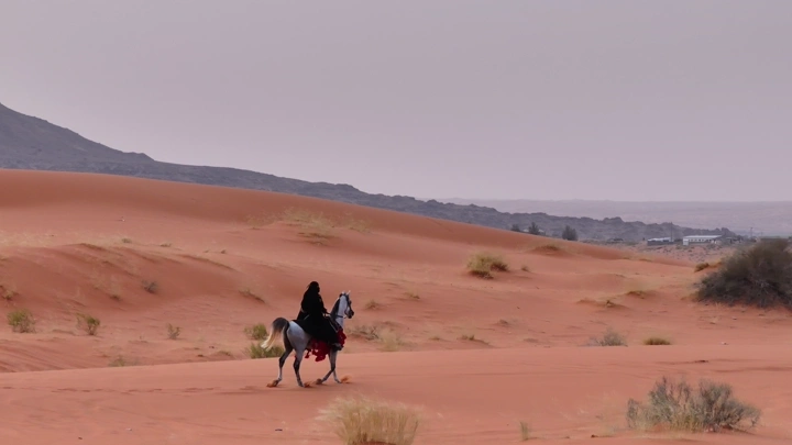 فارسة على حصان في صحراء النفود، لقطة جوية.