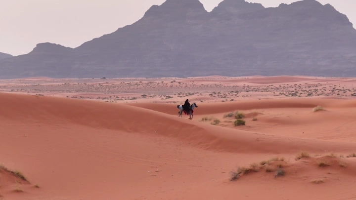 فارسة على حصان في صحراء النفود، لقطة جوية بعيدة.