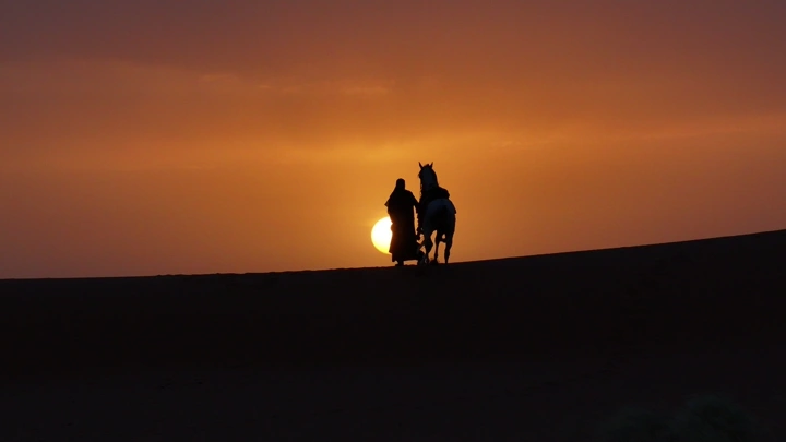 خيل وخياله في صحراء النفود عند غروب الشمس، صورة ظلية.