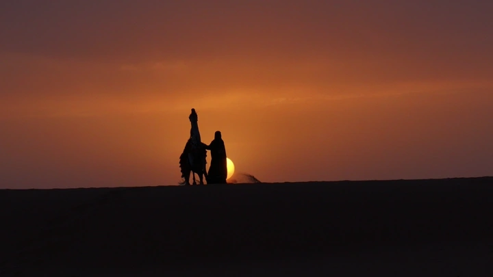 حصان وفارسه في صحراء النفود عند غروب الشمس، صورة ظلية.