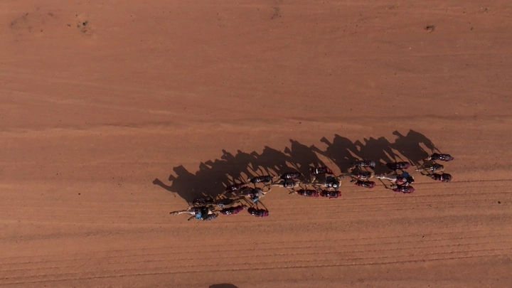 هجن تعبر الصحراء، لقطة جوية اسقاطية.