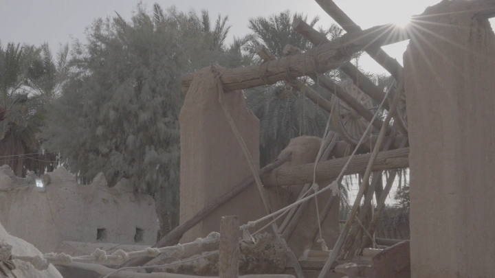 سواني الآبار مع الإبل في واحة نخيل، لقطة نهارية.